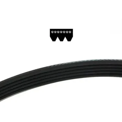 Přímo Od Výrobce řemen 3 PJ 955