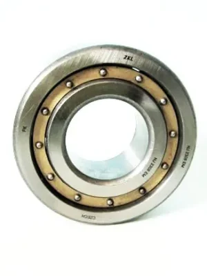 ZVL NJ 310 M C3 Válečkové ložisko Novinka